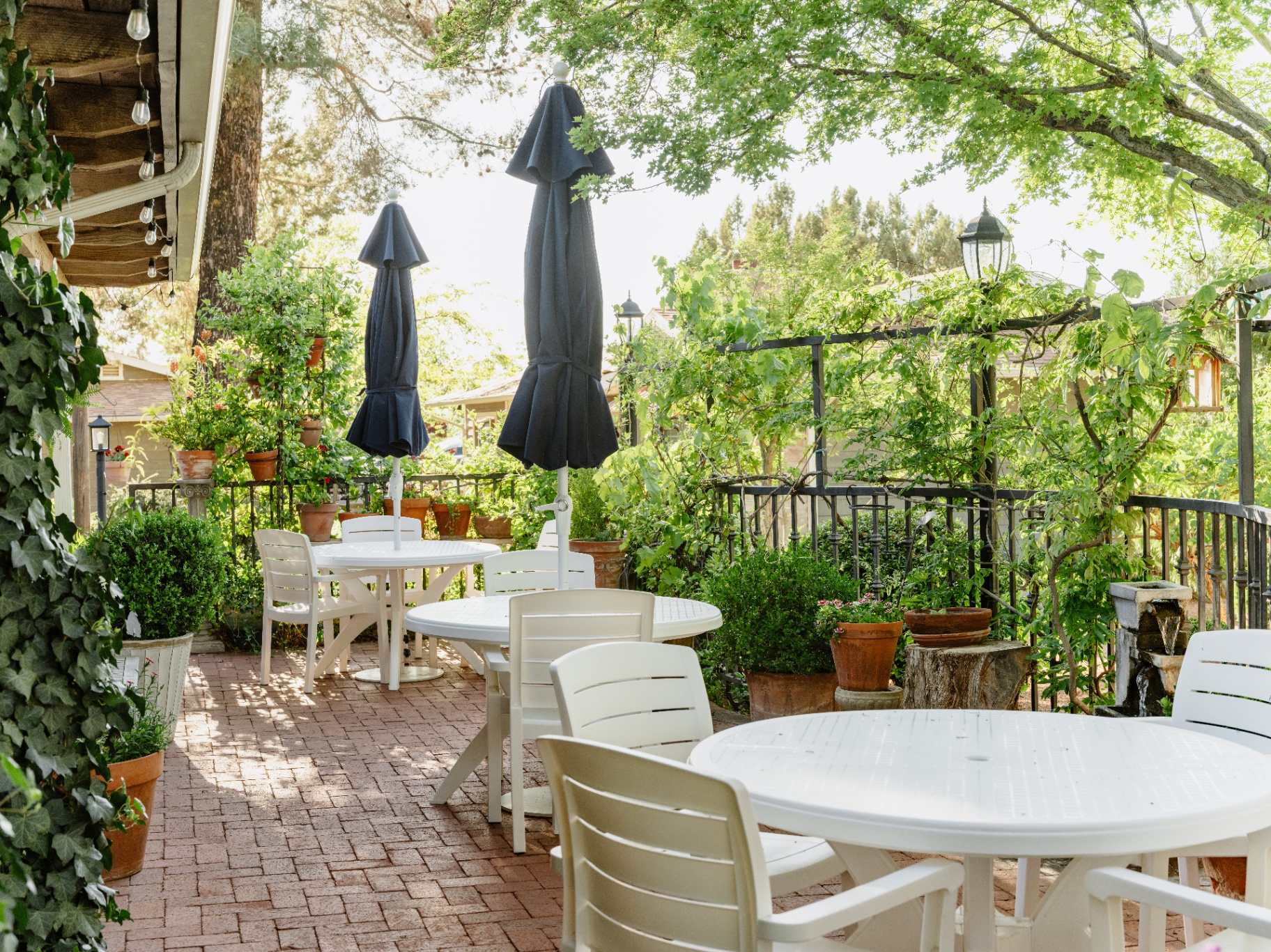 Garden patio with umbrellas and string lights