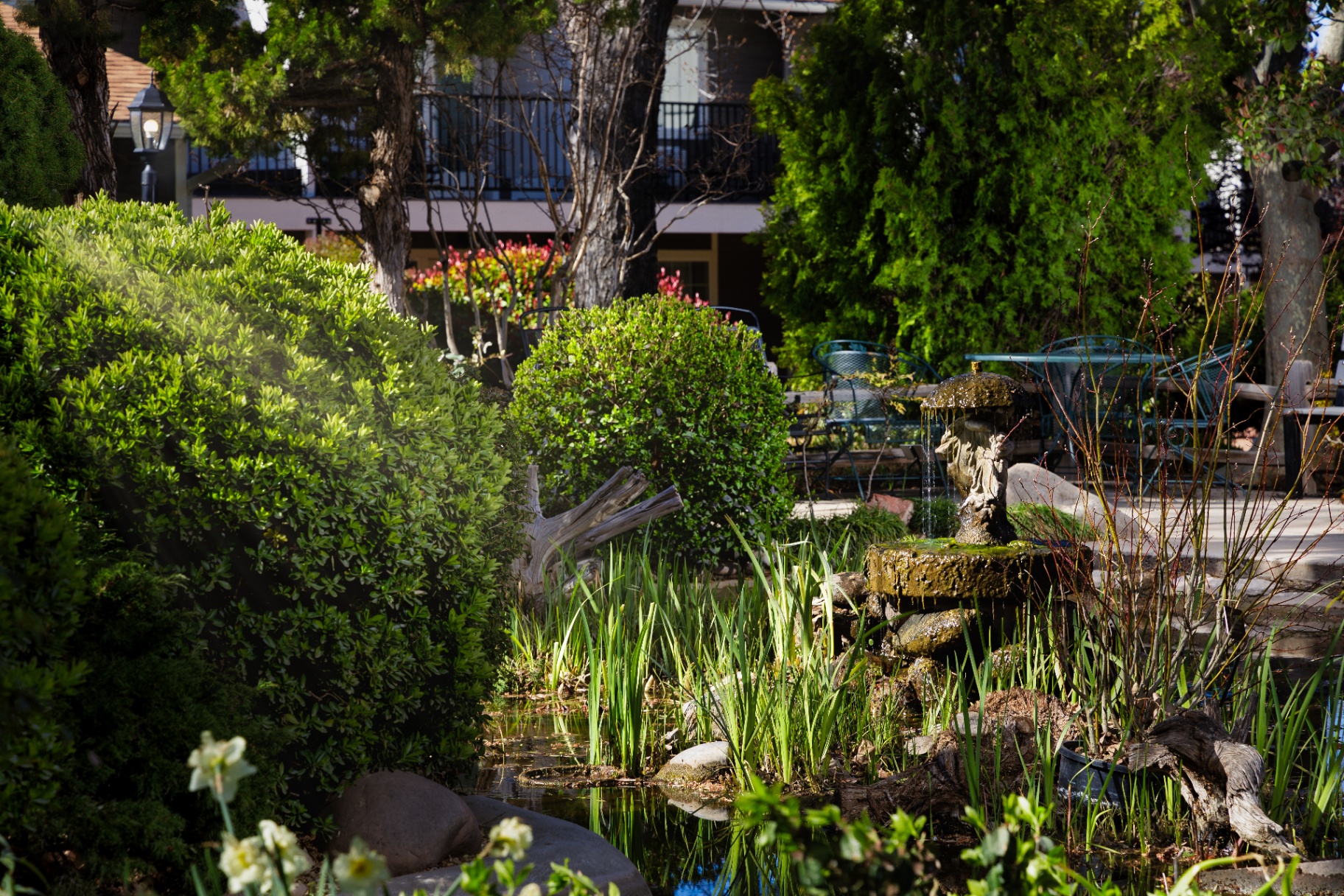 Garden pond and fountain tucked into the property landscape