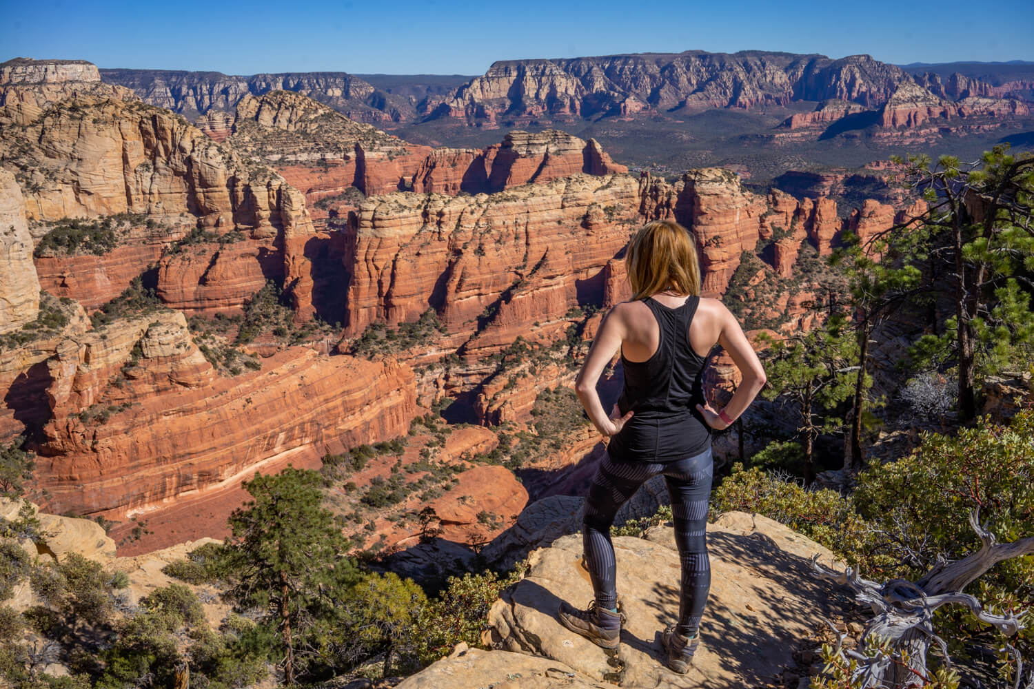 Bear Mountain summit views over Fay Canyon, Sedona