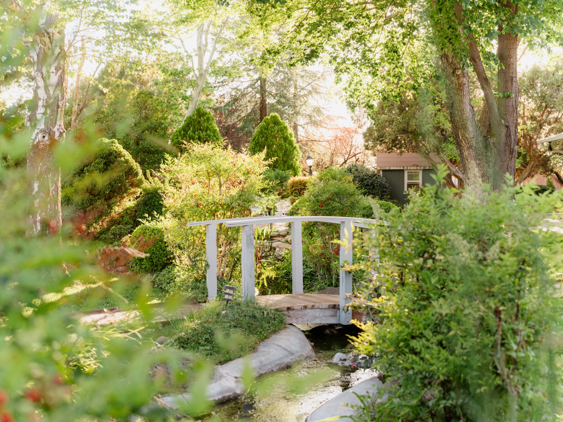 Sky Ranch Lodge botanical gardens with wooden footbridge over a creek
