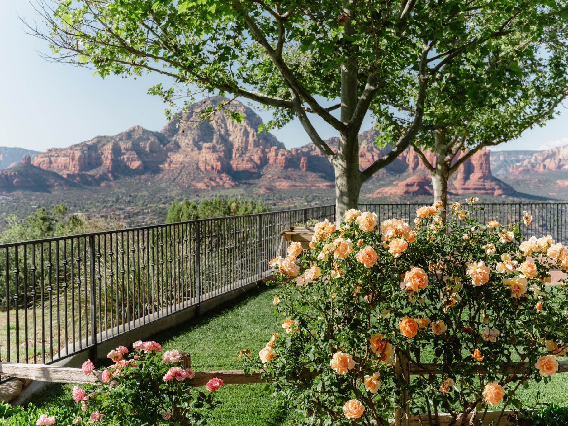 Rose garden overlook with Sedona red rock views