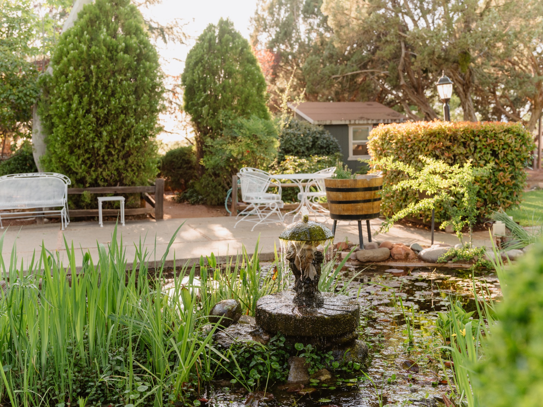 Lily pond and fountain in the lodge gardens